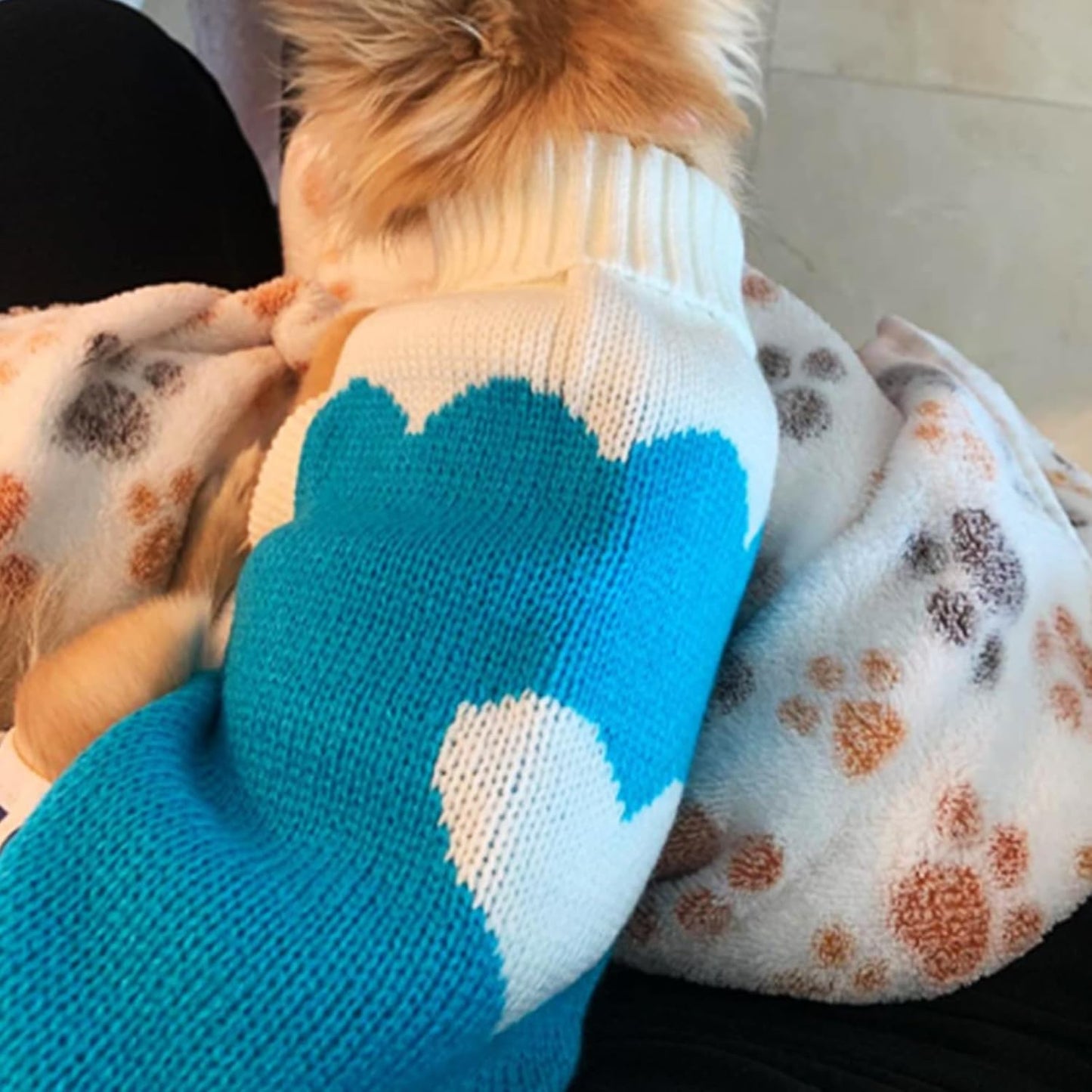 Dog Sweaters Classic Knitwear, Turtleneck Winter Warm Pet Puppy Clothes