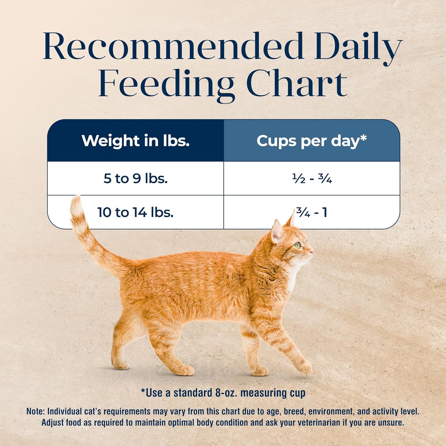 Basics Turkey Grain-Free Dry Cat Food, 11 Lb