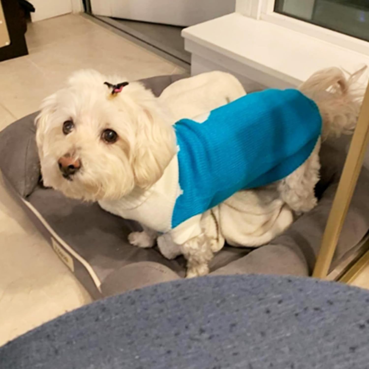 Dog Sweaters Classic Knitwear, Turtleneck Winter Warm Pet Puppy Clothes