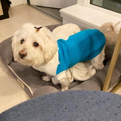 Dog Sweaters Classic Knitwear, Turtleneck Winter Warm Pet Puppy Clothes
