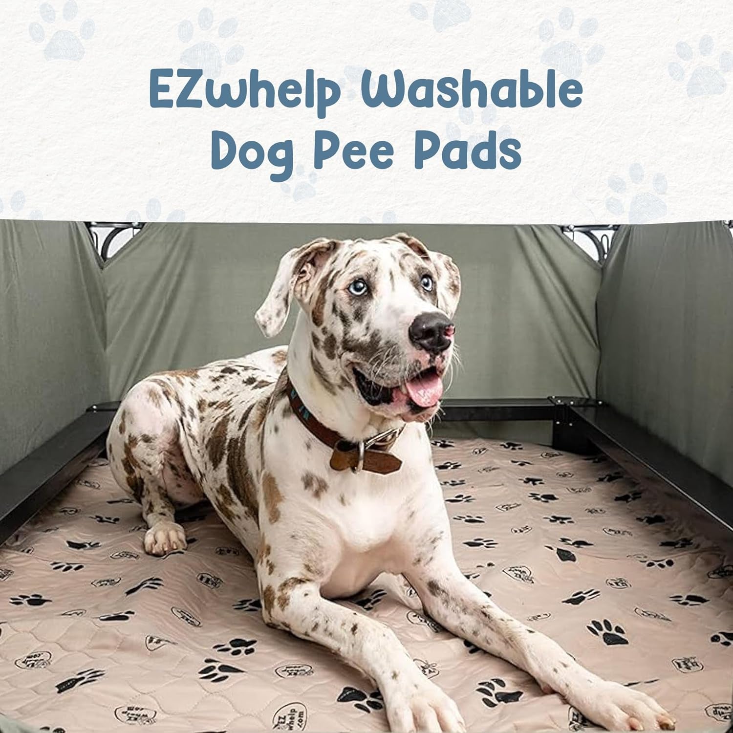 Reusable Dog Pee Pads, Washable Waterproof Mat 24X36 In, 2 Pack