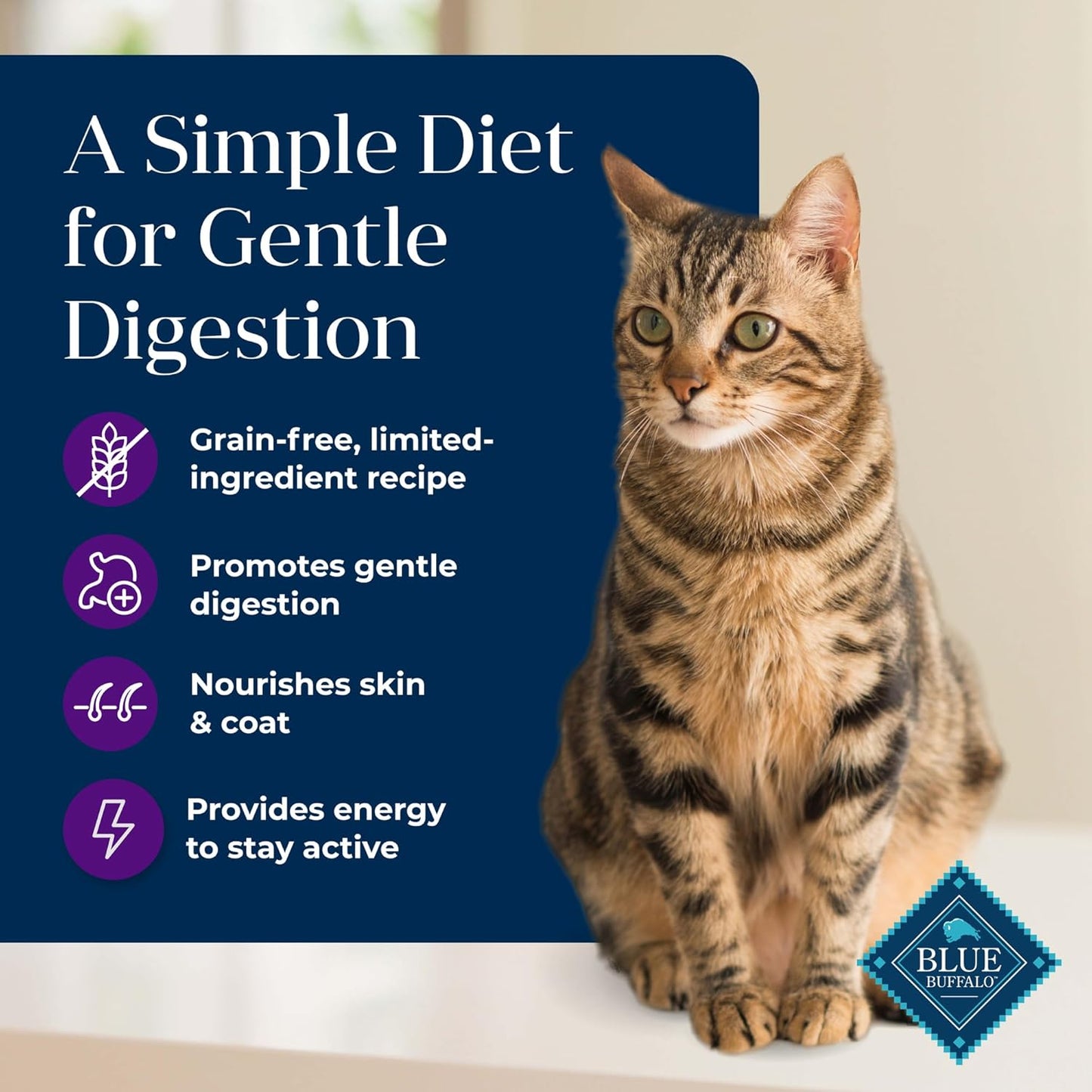 Basics Turkey Grain-Free Dry Cat Food, 11 Lb