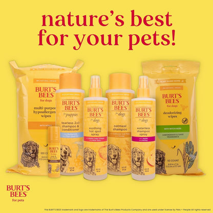 Burts Bees for Pets Waterless Shampoo Spray, with Apple & Honey, 10 Fl Oz