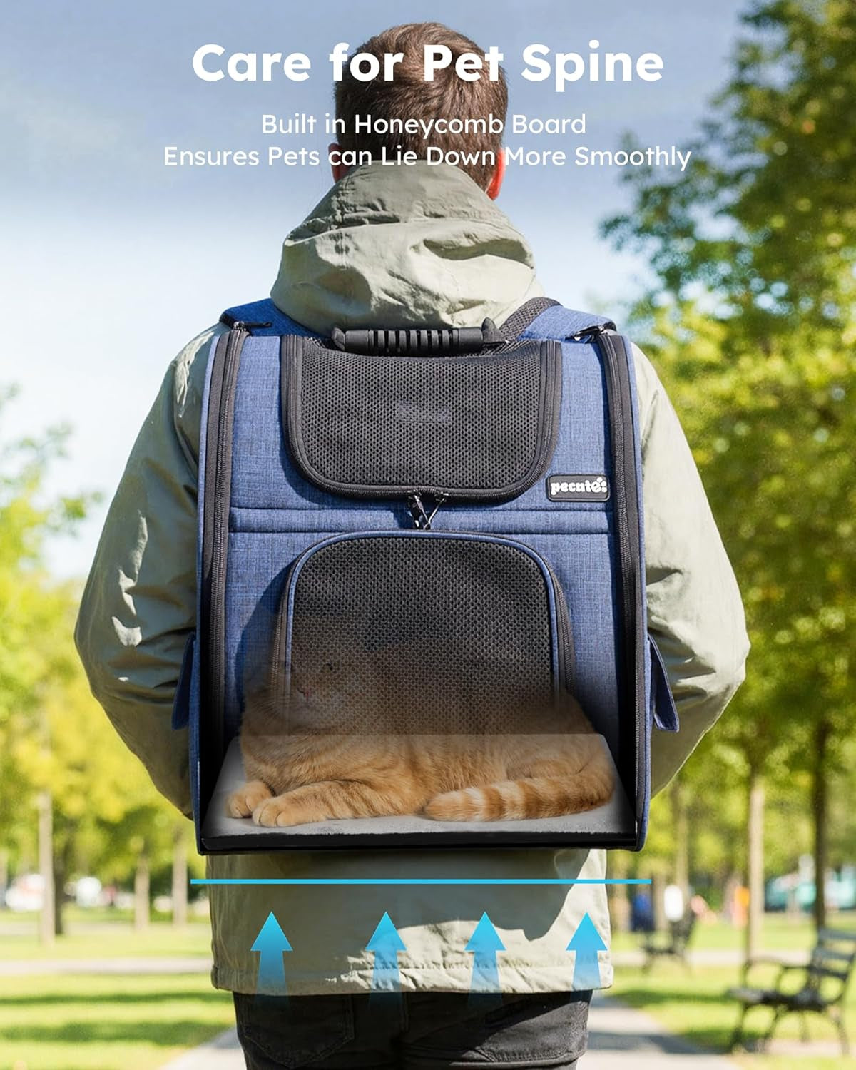 Cat Carrier Backpack Expandable, Cat Backpack with Breathable Window