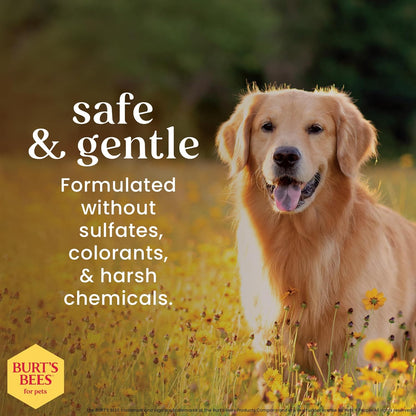 Burts Bees for Pets Waterless Shampoo Spray, with Apple & Honey, 10 Fl Oz