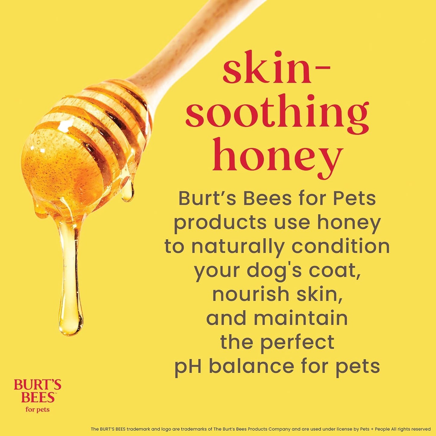 Burts Bees for Pets Waterless Shampoo Spray, with Apple & Honey, 10 Fl Oz