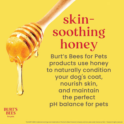 Burts Bees for Pets Waterless Shampoo Spray, with Apple & Honey, 10 Fl Oz